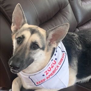 Meet your Posher, Carmen